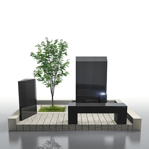 bt-s006