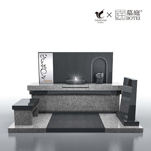 bt-s0021